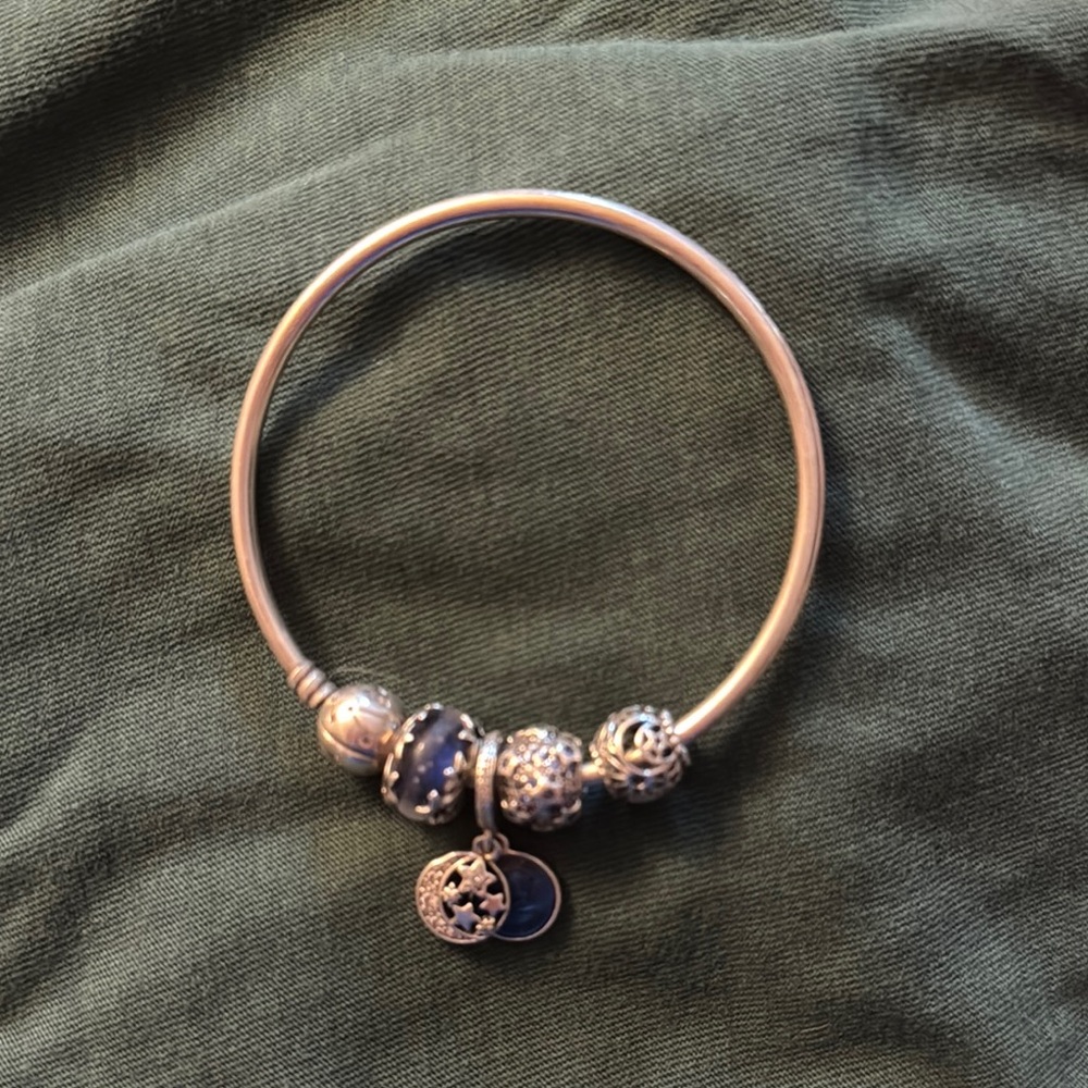 Pandora Charm Bracelet